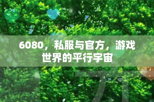 6080，私服与官方，游戏世界的平行宇宙