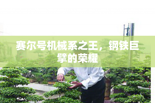 赛尔号机械系之王,钢铁巨擘的荣耀 赛尔号机械系之王,钢铁巨擘的荣耀