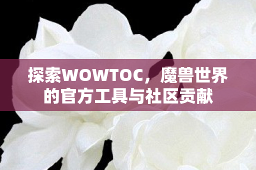探索WOWTOC，魔兽世界的官方工具与社区贡献