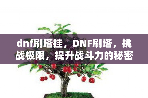 dnf刷塔挂，DNF刷塔，挑战极限，提升战斗力的秘密途径
