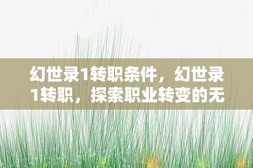 幻世录1转职条件，幻世录1转职，探索职业转变的无限可能