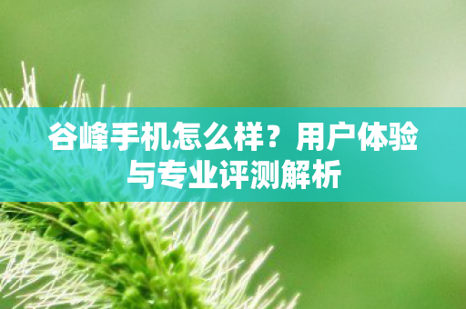 谷峰手机怎么样？用户体验与专业评测解析