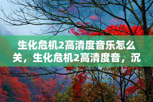 生化危机2高清度音乐怎么关，生化危机2高清度音，沉浸式体验与音效解析