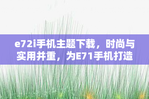 e72i手机主题下载，时尚与实用并重，为E71手机打造独特主题