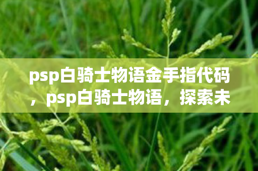 psp白骑士物语金手指代码，psp白骑士物语，探索未知世界的奇幻之旅