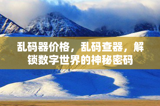 乱码器价格，乱码查器，解锁数字世界的神秘密码