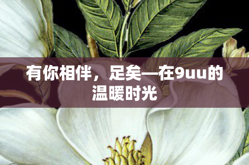 有你相伴，足矣—在9uu的温暖时光