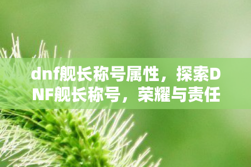 dnf舰长称号属性，探索DNF舰长称号，荣耀与责任的象征