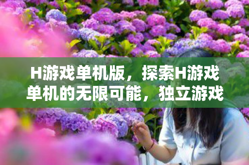 H游戏单机版，探索H游戏单机的无限可能，独立游戏的魅力与未来