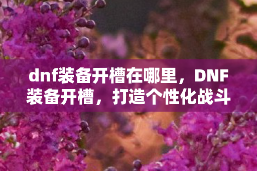 dnf装备开槽在哪里，DNF装备开槽，打造个性化战斗体验