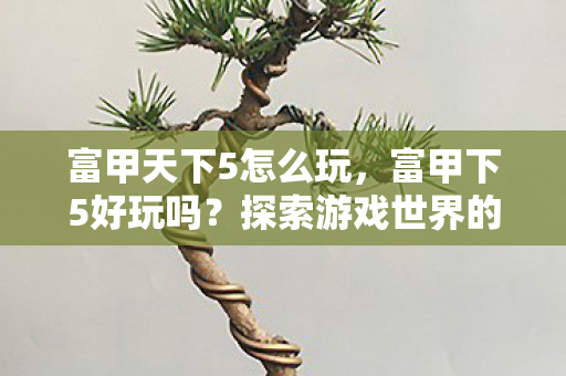富甲天下5怎么玩，富甲下5好玩吗？探索游戏世界的无限乐趣