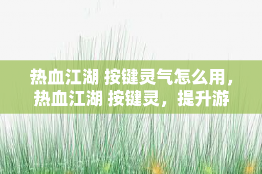 热血江湖 按键灵气怎么用，热血江湖 按键灵，提升游戏效率，尽享畅快体验