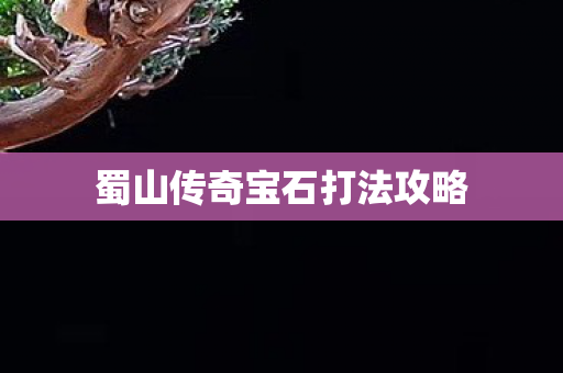 蜀山传奇宝石打法攻略