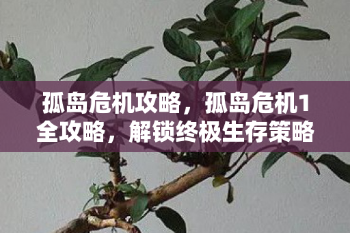 孤岛危机攻略，孤岛危机1全攻略，解锁终极生存策略