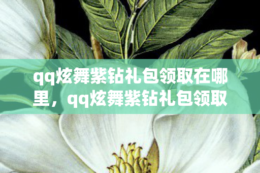 qq炫舞紫钻礼包领取在哪里，qq炫舞紫钻礼包领取攻略