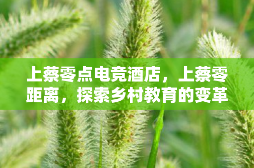 上蔡零点电竞酒店，上蔡零距离，探索乡村教育的变革之路