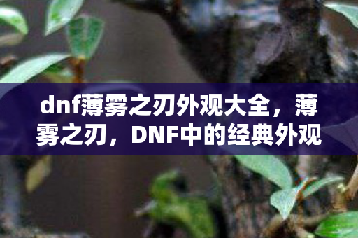 dnf薄雾之刃外观大全，薄雾之刃，DNF中的经典外观与传承