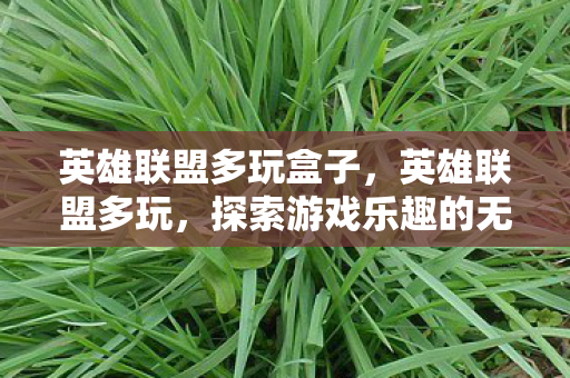 英雄联盟多玩盒子，英雄联盟多玩，探索游戏乐趣的无限可能