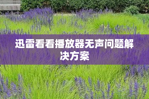迅雷看看播放器无声问题解决方案