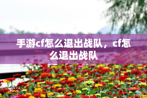 手游cf怎么退出战队，cf怎么退出战队