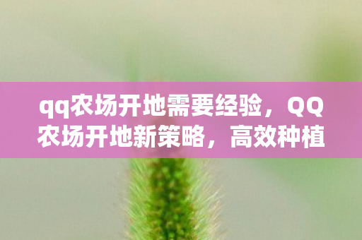 qq农场开地需要经验，QQ农场开地新策略，高效种植与拓展指南