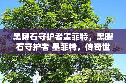 黑曜石守护者墨菲特，黑曜石守护者 墨菲特，传奇世界的守护者