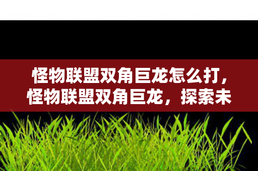 怪物联盟双角巨龙怎么打，怪物联盟双角巨龙，探索未知世界的神秘生物