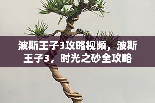 波斯王子3攻略视频，波斯王子3，时光之砂全攻略