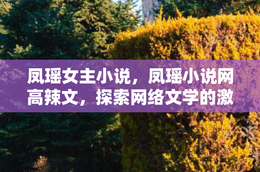 凤瑶女主小说，凤瑶小说网高辣文，探索网络文学的激情与魅力