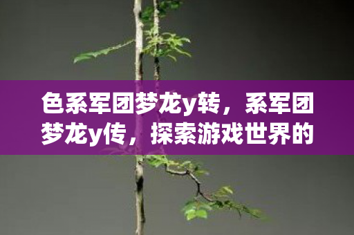 色系军团梦龙y转，系军团梦龙y传，探索游戏世界的奇幻之旅