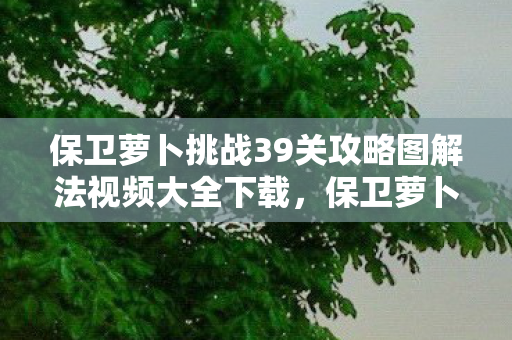 保卫萝卜挑战39关攻略图解法视频大全下载，保卫萝卜挑战39，解锁新关卡，挑战你的策略极限！