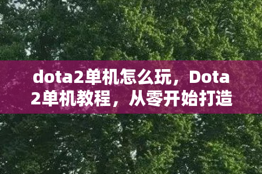 dota2单机怎么玩，Dota2单机教程，从零开始打造你的单机体验