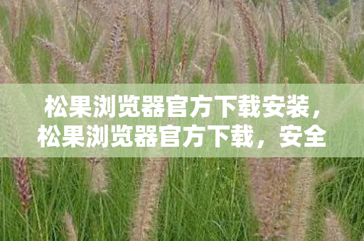 松果浏览器官方下载安装，松果浏览器官方下载，安全、便捷、高效的浏览体验