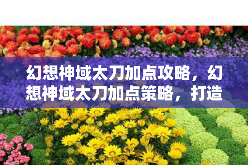 幻想神域太刀加点攻略，幻想神域太刀加点策略，打造高效战斗输出