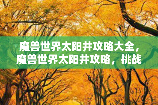 魔兽世界太阳井攻略大全，魔兽世界太阳井攻略，挑战与征服的指南