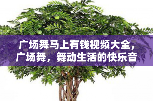 广场舞马上有钱视频大全，广场舞，舞动生活的快乐音符