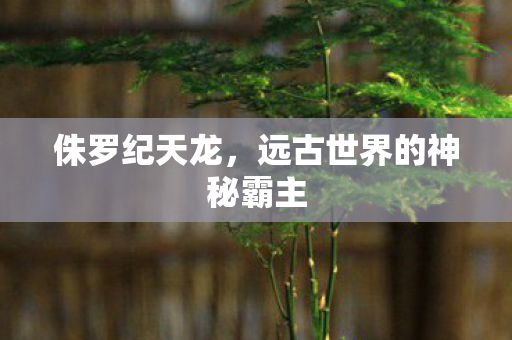 侏罗纪天龙，远古世界的神秘霸主