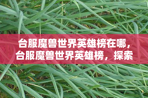 台服魔兽世界英雄榜在哪，台服魔兽世界英雄榜，探索玩家荣耀的殿堂