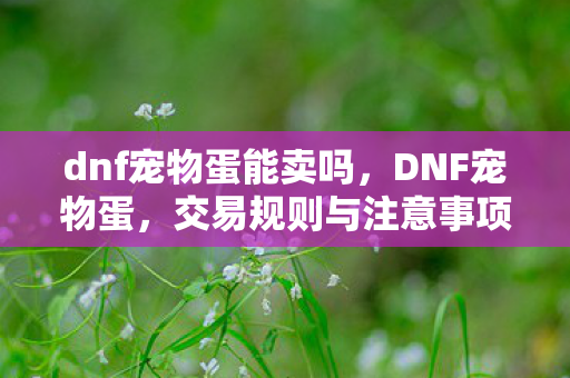 dnf宠物蛋能卖吗，DNF宠物蛋，交易规则与注意事项