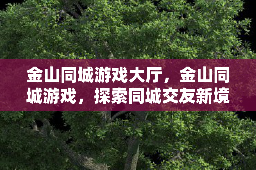 金山同城游戏大厅，金山同城游戏，探索同城交友新境界