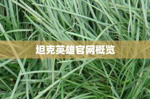 坦克英雄官网概览
