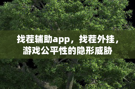 找茬辅助app，找茬外挂，游戏公平性的隐形威胁