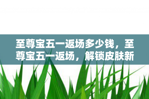 至尊宝五一返场多少钱，至尊宝五一返场，解锁皮肤新惊喜