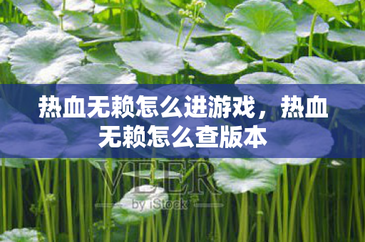 热血无赖怎么进游戏，热血无赖怎么查版本