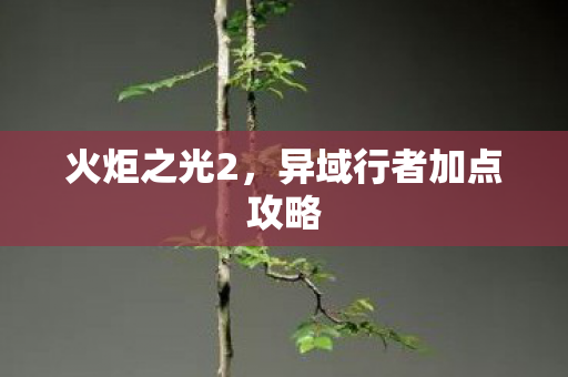 火炬之光2，异域行者加点攻略