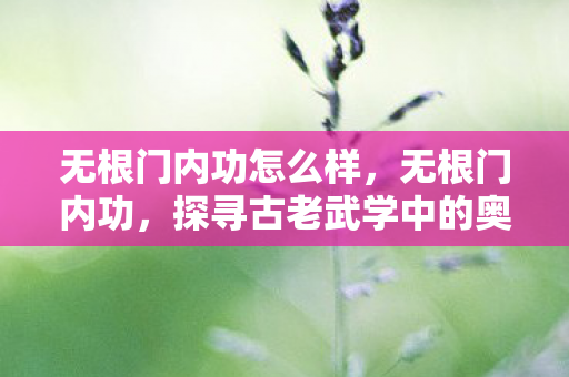 无根门内功怎么样，无根门内功，探寻古老武学中的奥秘