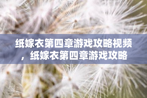 纸嫁衣第四章游戏攻略视频，纸嫁衣第四章游戏攻略