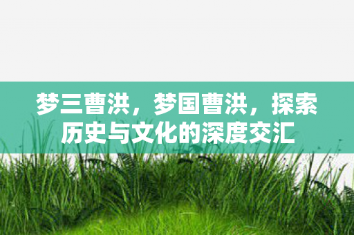 梦三曹洪，梦国曹洪，探索历史与文化的深度交汇