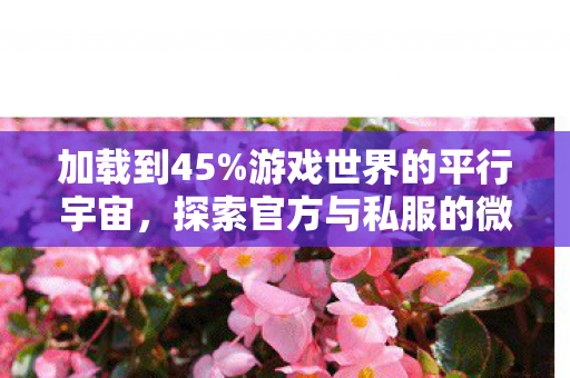 加载到45%游戏世界的平行宇宙，探索官方与私服的微妙差异