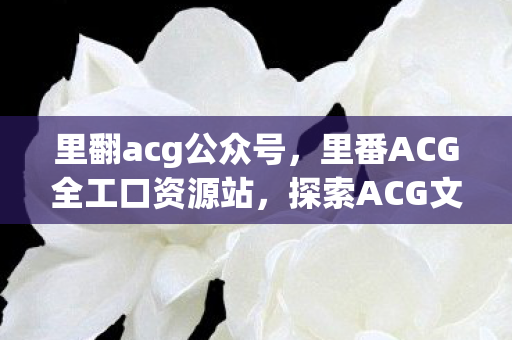 里翻acg公众号，里番ACG全工口资源站，探索ACG文化的深度与广度